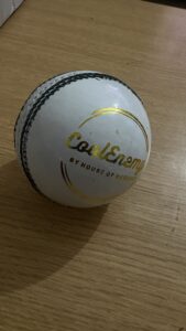 Coolenemy White Leather balls