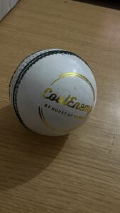 Leather Ball 50 Overs