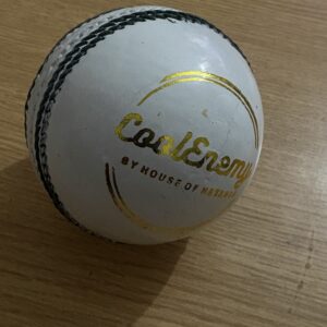Leather Ball 50 Overs